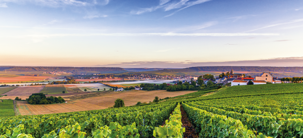 SNCF TER GRAND EST visual data 6